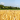 Landwirtschaft